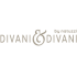 logo Divani & Divani