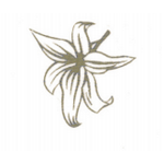 logo Vanille Bijoux Fantaisies