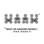 logo WAAW