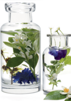 La sélection d'eaux florales & lotions à partir de 7,24€ - Naturalia