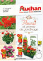Fleurs et secrets de jardinage - Auchan