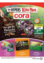 Prospectus Cora : Des prix fleuris pour votre jardin