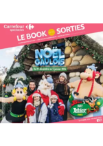 Prospectus  : CARREFOUR SPECTACLES - LE BOOK DE VOS SORTIES