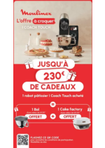 Prospectus  : Moulinex vous offre 1 bol et 1 cake factory