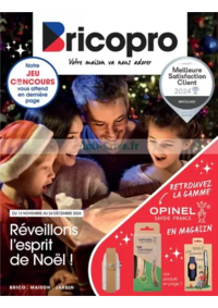 Prospectus Bricopro BRIOUDE : Réveillon l'esprit de Noël