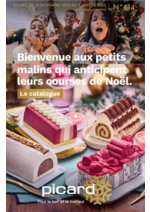 Prospectus Picard : Bienvenue aux petits malins qui anticipent leurs courses de Noël