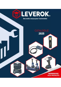 Prospectus auto distribution AUCH : LEVEROK