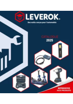 Prospectus  : LEVEROK