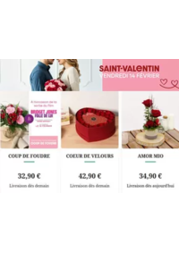 Prospectus Florajet PEZENAS : Livraison bouquet de fleurs Saint Valentin