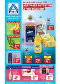 Prospectus Aldi Arcis sur Aube : ARRIVAGES ENTRETIEN À PRIX DISCOUNT