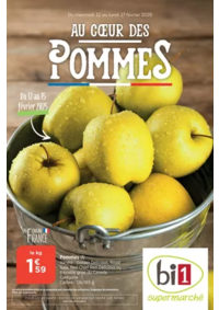 Prospectus bi1 AILLANT-SUR-THONON : Au coeur des pommes