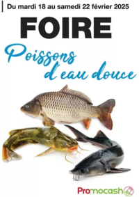 Prospectus Promocash Saint Lambert des Levées : Foire poissons d'eau douce