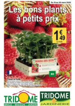 Promos et remises  : Les bons plans à petits prix