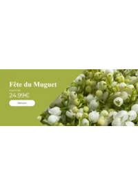 Prospectus Carrément Fleurs TOULOUSE - Av. Jean Chaubet : Bouquets de muguet pour le 1er mai