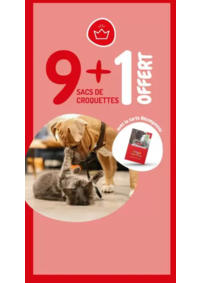 Prospectus Médor et compagnie Moulins Les Metz : 9 + 1 offert