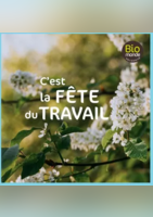 Mai fruits & legumes - Biomonde