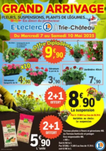 Prospectus E.Leclerc : GRAND ARRIVAGE FLEURS ET PLANTES
