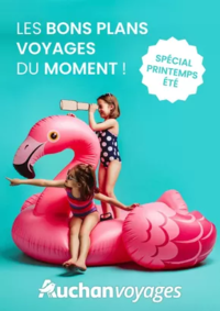 Prospectus Auchan Supermarché Saint-Germain-lès-Corbeil : Auchan voyages : Les bons plans voyages du moment !