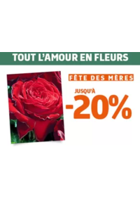 Prospectus Jardiland TARBES : Notre offre végétal spéciale fête des mères