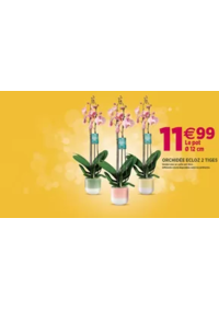 Prospectus Delbard Cluses : Les promotions sont là !