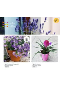 Prospectus Le Jardin des Fleurs CHAMBERY SOMMELIER : Astro Plantes : Gémeau