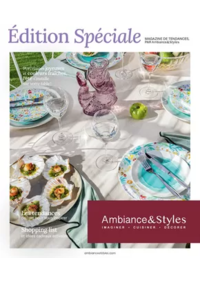 Prospectus Ambiance et styles Portet-sur-Garonne : Édition Spéciale