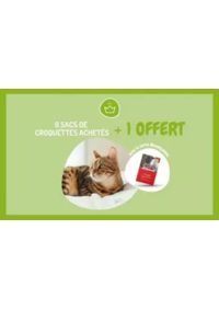 Prospectus Médor et compagnie Châlon sur Saône : 9 sacs de croquettes ou de litière achetés, le 10ème offert