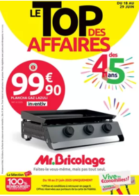 Prospectus Mr Bricolage L'ARBRESLE : LE TOP DES AFFAIRES DES 45 ANS