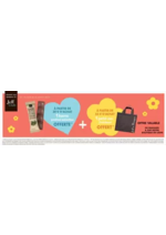 Promos et remises  : L'offre du moment
