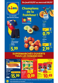 Prospectus Lidl CAUDEBEC LES ELBEUF : Faites un max d'économies chez Lidl avec une large sélection de produits en format XXL !
