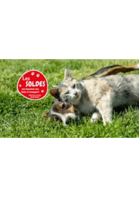 Prospectus Médor et Compagnie Givors : Les soldes sont là !!