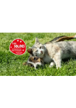 Promos et remises  : Les soldes sont là !!