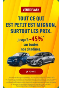 Prospectus Aramis Bordeaux - Le Haillan : Vente Flash