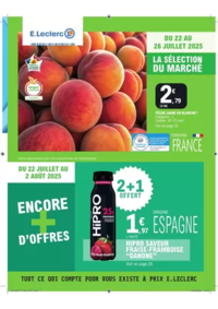 Prospectus E.Leclerc VANDOEUVRE LES NANCY : TRAFIC POUVOIR ACHAT 9 - MIXTE