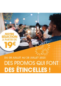 Prospectus Pro&Cie Flers en Escrebieux : Des promos qui font des etincelles