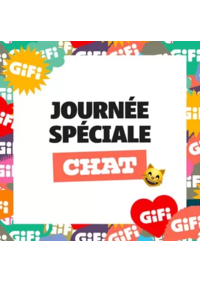 Prospectus Gifi SAVIGNY LE TEMPLE : Une journée spéciale pour lui