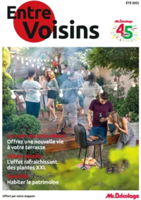 Prospectus Mr Bricolage DOLE : Été 2025