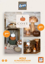 Prospectus Babou : Cosy