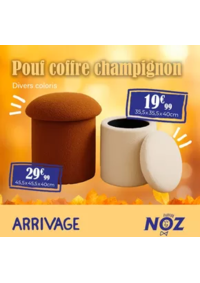 Prospectus Noz Langueux : Pouf coffre champignon