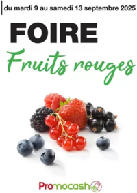 Prospectus Promocash Aurillac : Catalogue Promocash