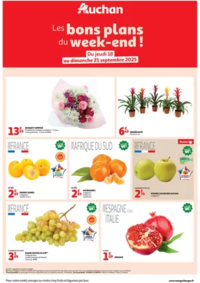 Prospectus Auchan FACHES THUMESNIL : Les bons plans du week-end dans votre hyper !