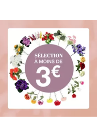 Prospectus La Foir'Fouille AIGUES VIVES : Toussaint en couleurs : nos fleurs illumineront vos souvenirs