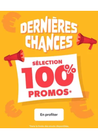 Prospectus Chronodrive MARCQ EN BAROEUL : En Promos