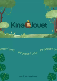 Prospectus KING JOUET ALENçON / ARCONNAY : Promotions