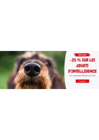 Prospectus Médor et Compagnie Couzeix : -25 % sur les jouets d'intelligence