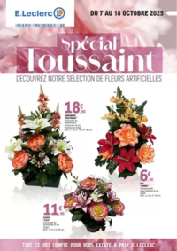 Prospectus E.Leclerc LA FLECHE : OP TOUSSAINT
