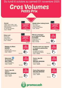 Prospectus Promocash Saint Lambert des Levées : Cros volumes Petits Prix