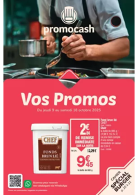 Prospectus Promocash Salaise sur Sanne : Vos promos