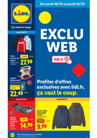 Prospectus Lidl SARZEAU : Profiter d'offres exclusives avec lidl.fr, ça vaut le coup