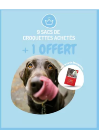 Prospectus Médor & Compagnie Unieux : 9 sacs de croquettes achetés + 1 sac OFFERT